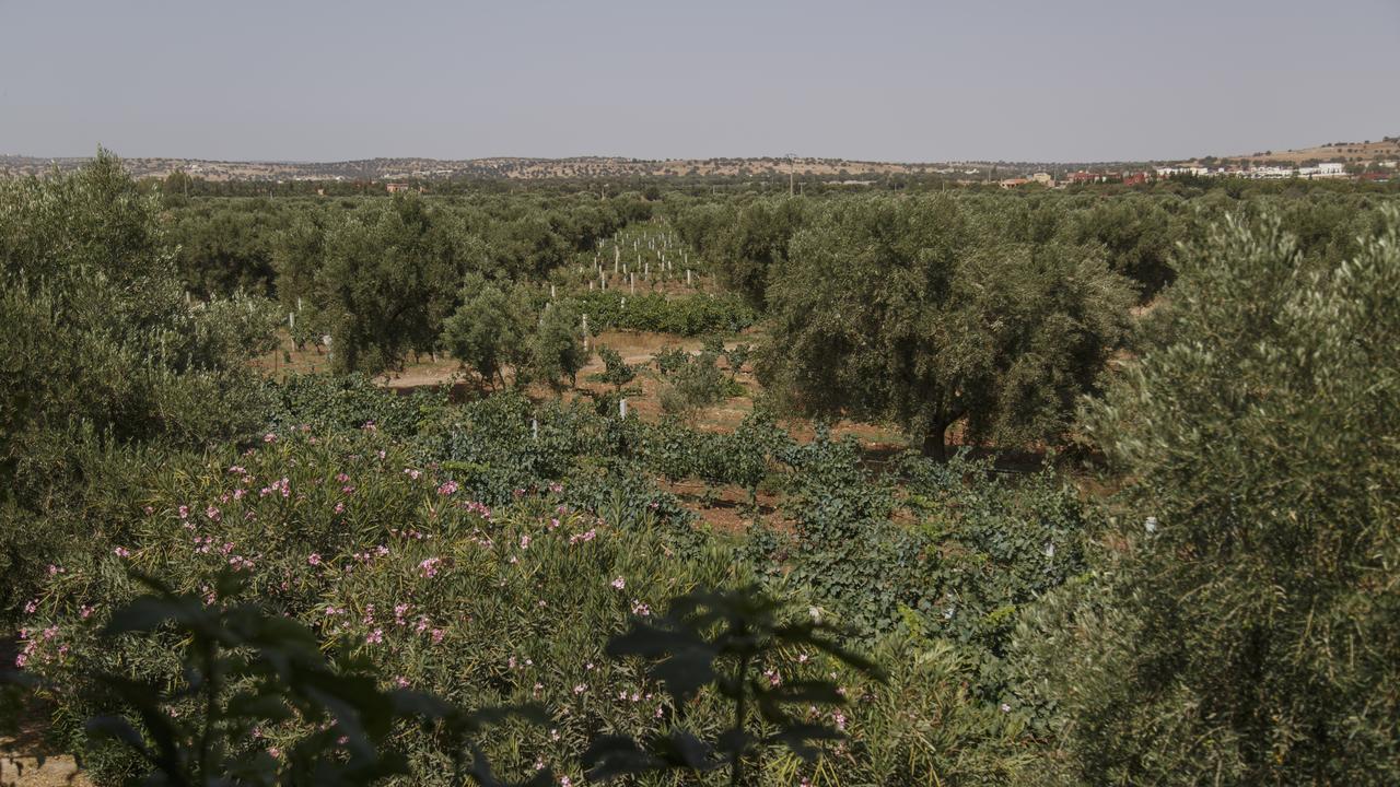 Ryad De Vignes " Le Val D'Argan " Ounara Exterior foto